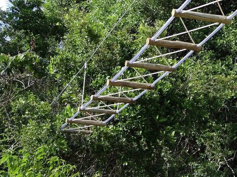 Ponte de corda suspensa entre copas de árvores, usada como travessia por animais arborícolas.